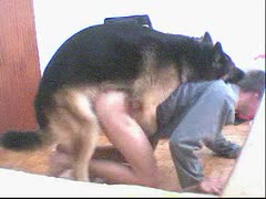 Video of a gay beastiality porn including a dog